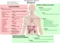 Thumbnail for version as of 12:56, 30 April 2014
