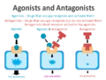 Thumbnail for version as of 01:22, 25 April 2016