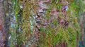 Thumbnail for version as of 16:13, 16 April 2014