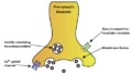 Thumbnail for version as of 16:11, 16 April 2014