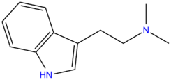 DMT.png