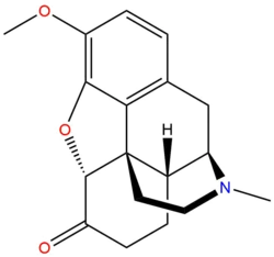 Hydrocodone.png