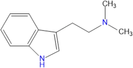 DMT3.png