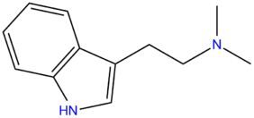 DMT.png