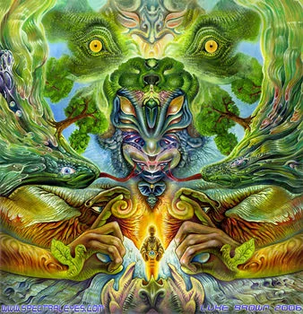 Internal hallucinations