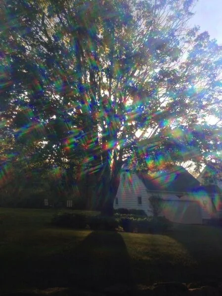 File:Diffraction.jpg