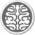 Neuroscience.png