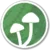 Psychedelics3.png