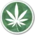Weedz.png