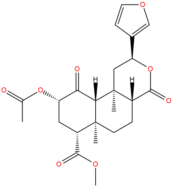 File:Salvia.png