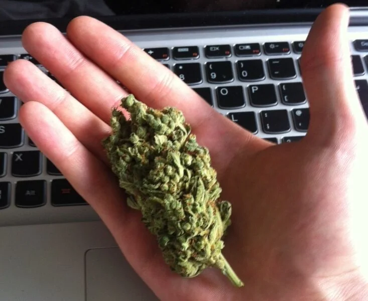 File:Tumblr nq9whntbPe1qjx1qho1 1280x.jpg