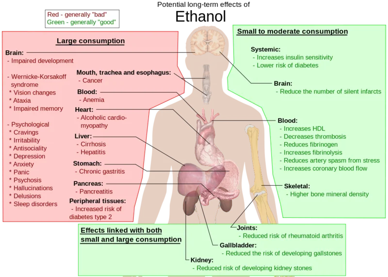 File:1024px-Possible long-term effects of ethanol.svg.png