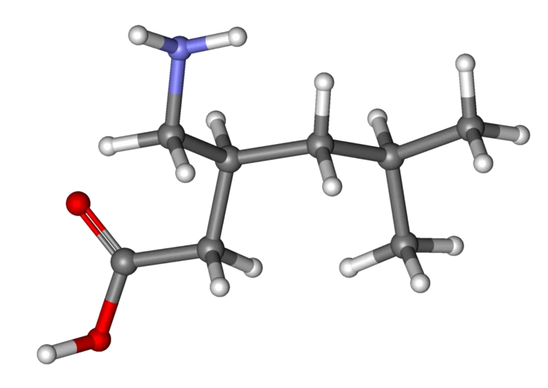 File:1024px-Pregabalin ball-and-stick.png