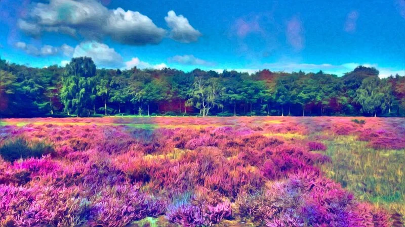 File:Colour shifting field.jpg