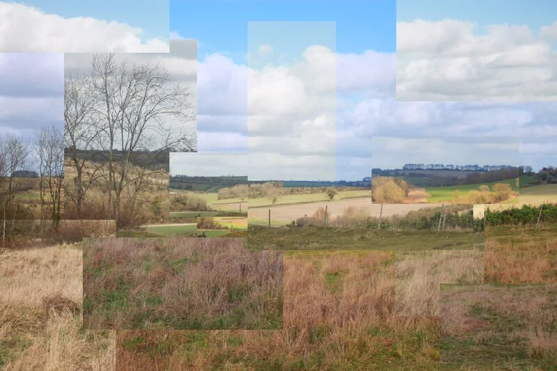 File:Cubism Field by Chelsea Morgan.jpg