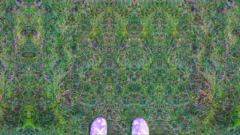File:Grass by Chelsea Morgan.jpg