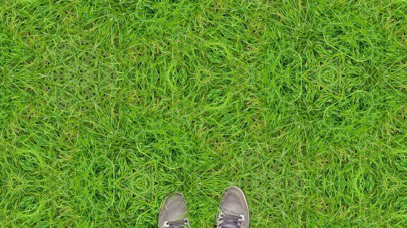File:Grass on 2cb by inifinity.jpg