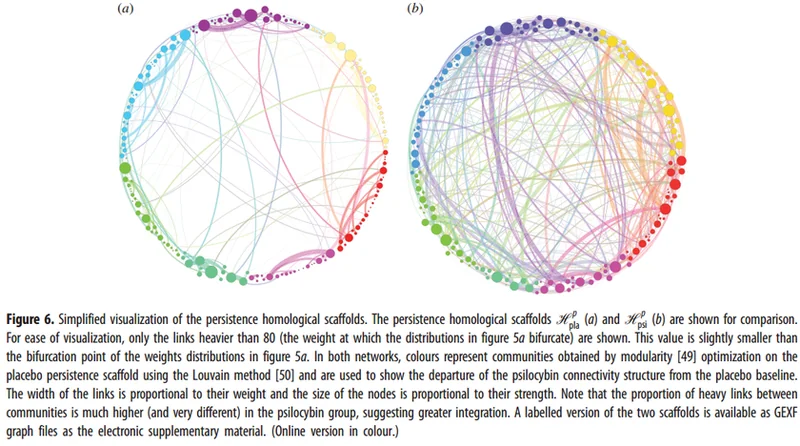 File:Psilocybin neural connections.png