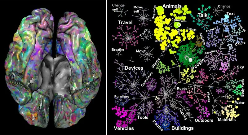 File:Semantic-space-brain.jpg