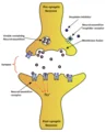 Thumbnail for version as of 16:11, 16 April 2014