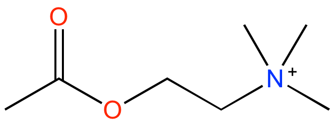 File:Acetylcholine.png