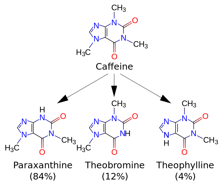 File:710px-Caffeine metabolites.svg.png