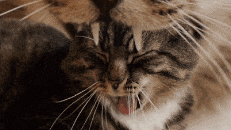 File:Recursion1.gif