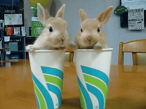 File:What ever you decide to do make sure it makes you happy.gif