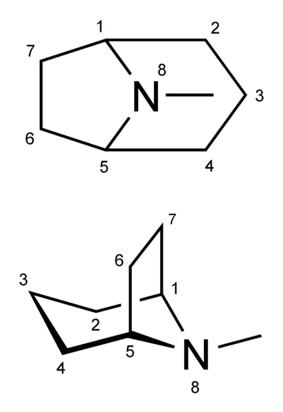 File:Tropane.png