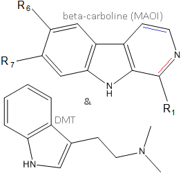 Ayahuascamolecule.png